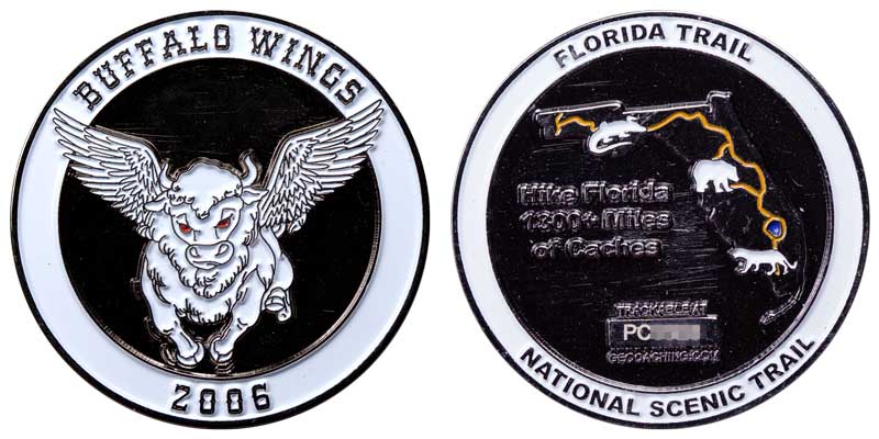 Buffalo Wings 2006 (White)